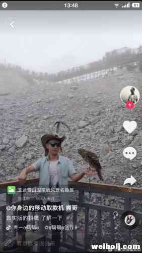 傳統(tǒng)與現(xiàn)實(shí)的碰撞，在玉龍雪山上玩“抖鷹”，合法嗎？